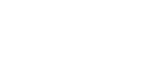 Force logo